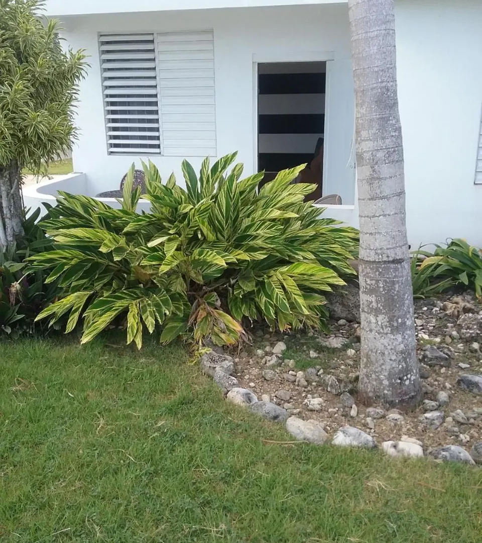 Ocean Dreams Apartman Aguada 0*,